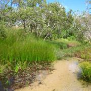 Freshwater National Park (QLD)