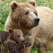 Pindus National Park, Greece