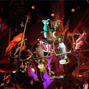 Walt Disney&#39;s Enchanted Tiki Room