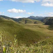 Dzukou Valley