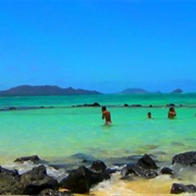 Honu Heaven, Kaiona Beach Park, Oahu