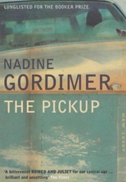 The Pickup (Nadine Gordimer)