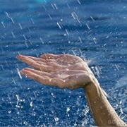 Swimming While Raining
