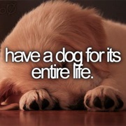 Have a Dog for Its Entire Life