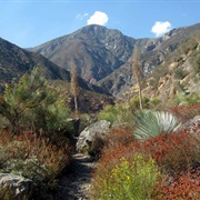 San Gabriel Mountains National Monument