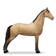 Tennessee Walker - Dun