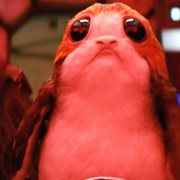 Porg