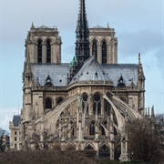 Construction on the Notre Dame Cathedral Begins