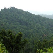 Shawnee State Forest, Ohio