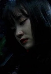 The Dream of Garuda (1994)