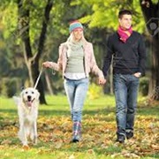 Couple Walking Their Dog