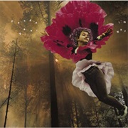 Panda Bear - Comfy in Nautica