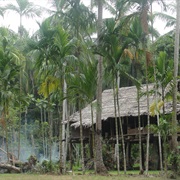 Place Totally Different From Home