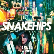 Cruel - Snakehips Featuring ZAYN