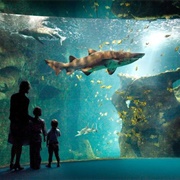 Aquarium La Rochelle, France