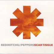 Scar Tissue - Red Hot Chili Peppers