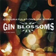Gin Blossoms - Congratulations I'm Sorry