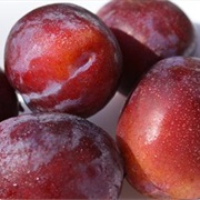 Victoria Plum