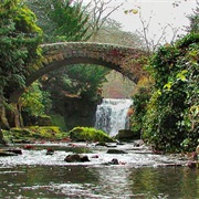 Jesmond Dene