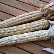 Flour Corn
