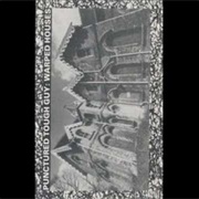 Punctured Tough Guy- Warped Houses