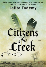Citizen Creek (Lalita Tademy)