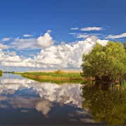 Danube Delta Biosphere Reserve, Ukraine
