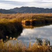 Imperial National Wildlife Refuge