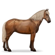 Brumby - Flaxen Chestnut