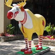 Ronald MacMoose