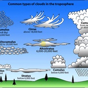 Identify All Types of Clouds