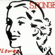 Plowed - Sponge
