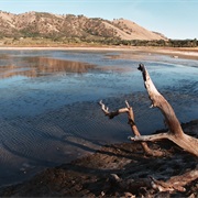 Borax Lake Site