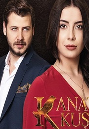 Kanatsız Kuşlar (2017)