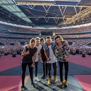 One Direction: Where We Are Tour 2014