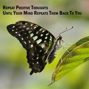 Write Down a Positive Thought a Day