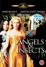 Angels and Insects