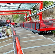 Worlds Steepest Passenger Railway - 52 Degress - Sydney