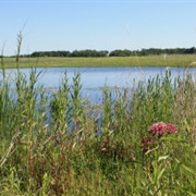 Detroit Lakes Wetland Management District, Minnesota