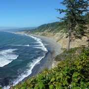 Patrick's Point State Park, California