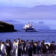 French Southern & Antarctic Lands (Adelie Land, Crozet, Amsterdam, Kerguelen)