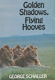 Golden Shadows, Flying Hooves