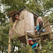 Tree Houses