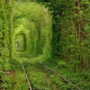 Tunnel of Love, Kleven, Ukraine
