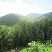 Great Smoky Mountains National Park, NC/TN
