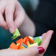 Home Lottery With Service-Coupons (Dish Washing, Etc.)