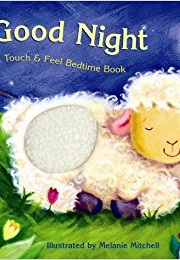 Good Night (Melanie Mitchell)