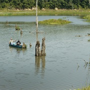 Lake Shelbyville Fish and Wildlife Area, Illinois