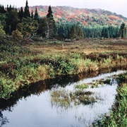 Victory Basin Wildlife Management Area, Vermont