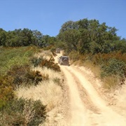 Hollister Hills State Vehicular Recreation Area, California